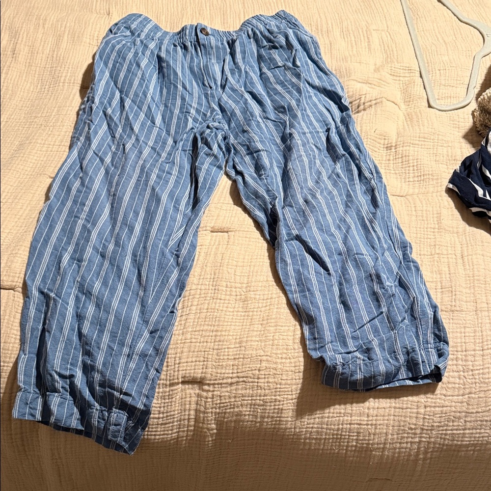 Madewell Blue Striped Capris